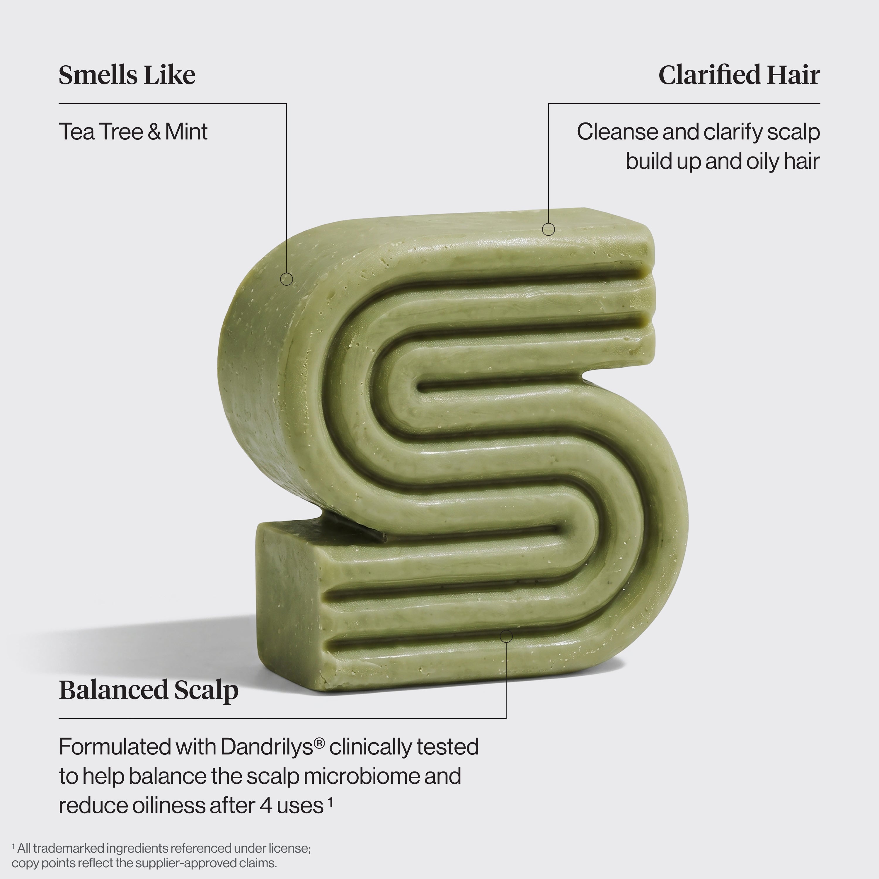 Tea Tree & Mint Clarifying Shampoo & Conditioner Bar Combo