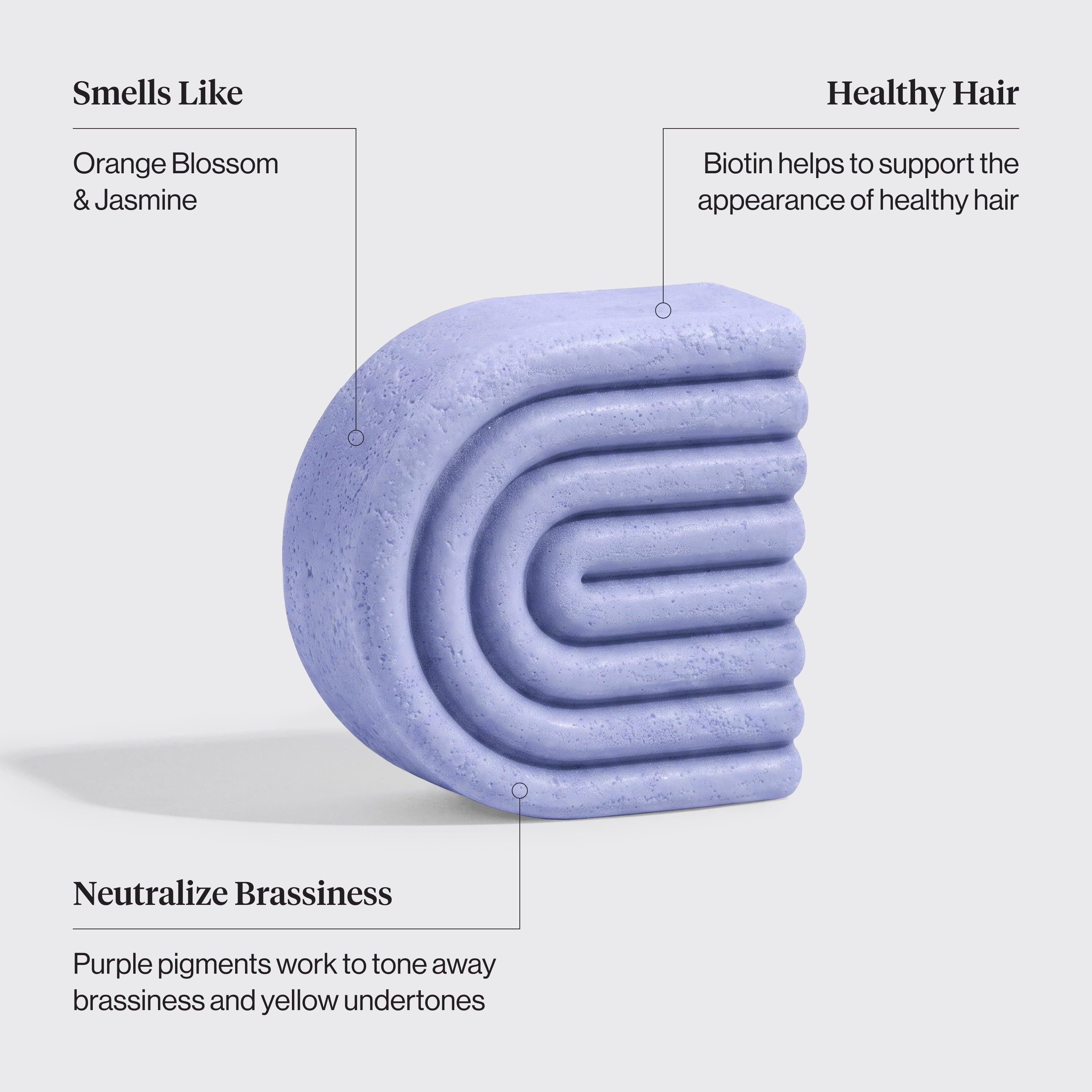Purple Toning Shampoo & Conditioner Bar Combo for Color-Treated & Grey Hair